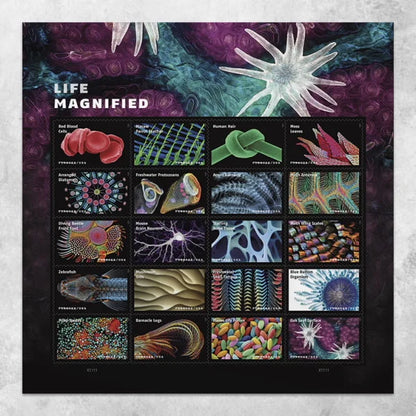 Forever Stamps 2023 Life Magnified – Freshwater Protozoans, First-Class Postage