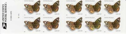 NOT Forever Stamp-First Class Stamps 2006 Common Buckeye Butterfly – Nature Series, 24¢ Postage