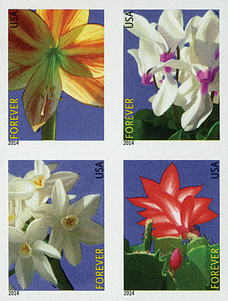 Forever Stamps 2014 Winter Flowers – Seasonal Blooms, First-Class Postage