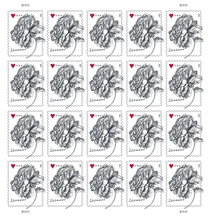 Forever Stamps 2015 Vintage Rose – Wedding Invitation & Love Celebration, First-Class Postage