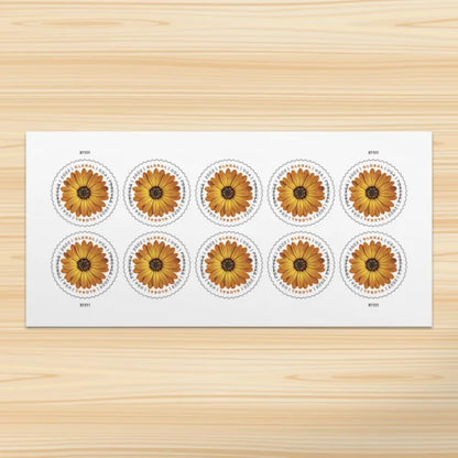 Global Forever Stamps 2022 African Daisy – International Rate