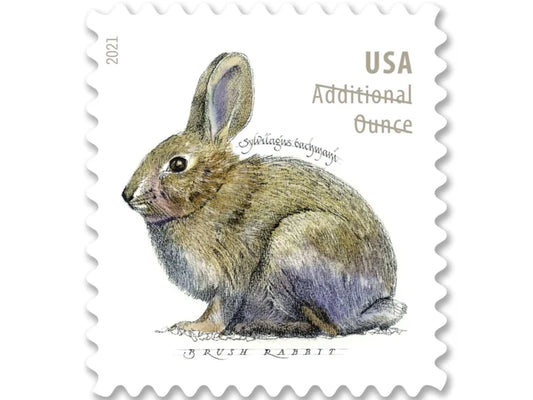 NOT Forever Stamp-Additional Ounce Forever Stamps 2021 Brush Rabbit – Nature Series, Postage