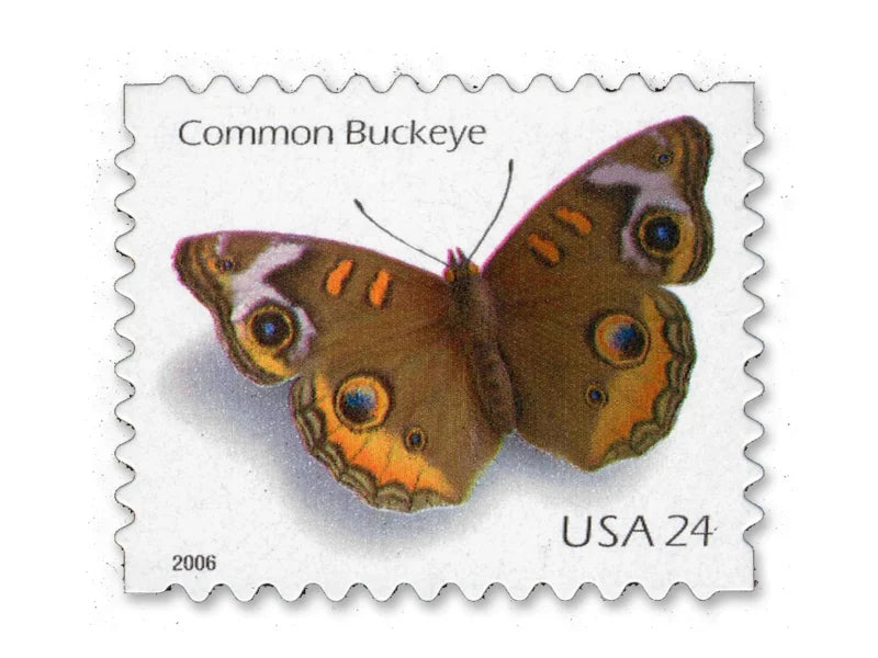 NOT Forever Stamp-First Class Stamps 2006 Common Buckeye Butterfly – Nature Series, 24¢ Postage