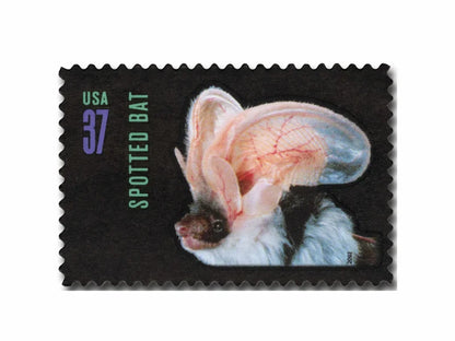 NOT Forever Stamp-37¢ Stamps 2002 Night Friends American Bats – Nature Series, First-Class Postage