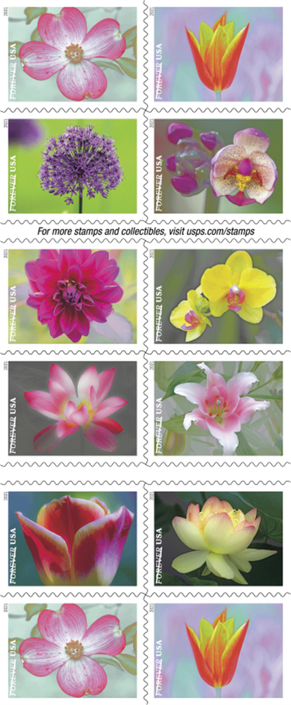Forever Stamps 2021 Garden Beauty – Nature Series, First-Class Postage